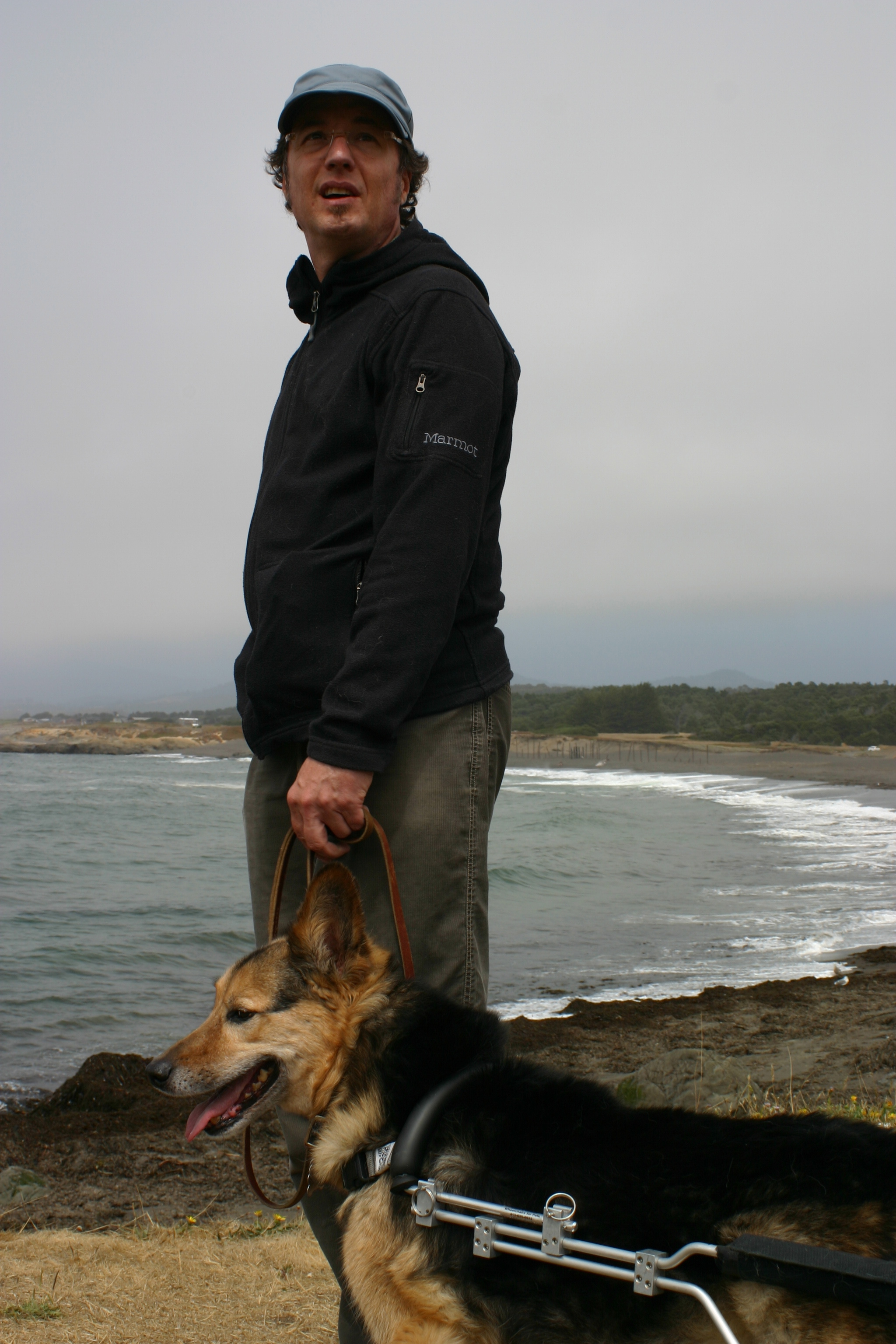 Prof. Chapman with dog in wheelchair