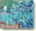 Irises by Van Gogh  found at http://www.ibiblio.org/wm/paint/auth/vangogh